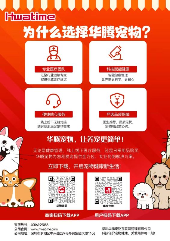 为什么选择js3333线路检测中心宠物？